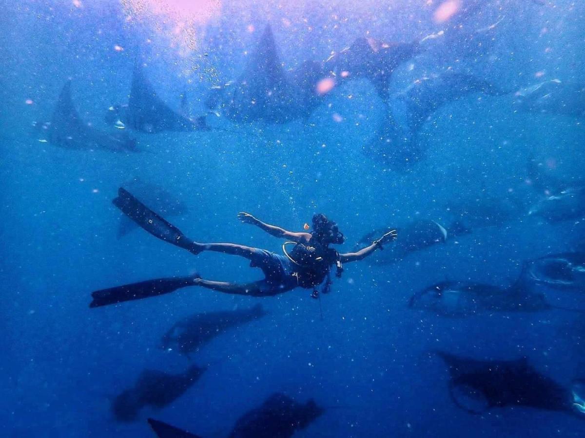 Manta Дангети Экстерьер фото